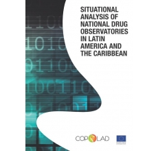 Situational Analysis of National Drug Observatories in Latin America and the Caribbean